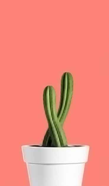 攻击网站在线工具